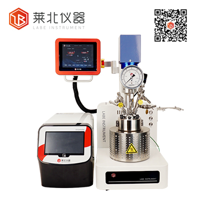 SS-100-250 多功能超聲波反應平臺